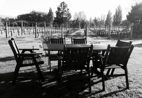 The Crib On Legacy Vineyard - Accommodation New Zealand 0