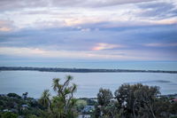 Escape above the Estuary