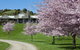 124onbrunswick A Peaceful Place To Rest And Reinvigorate - thumb 0