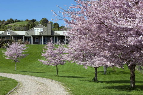 124onbrunswick A Peaceful Place To Rest And Reinvigorate - Accommodation New Zealand 0