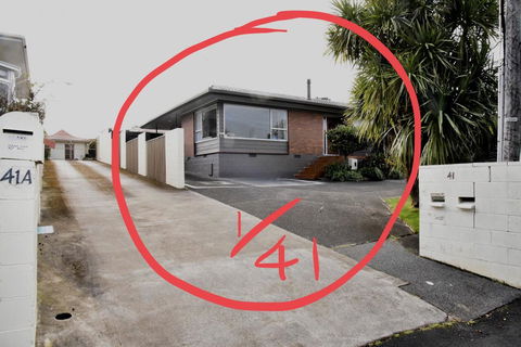 41 Haydn Ave Royal Oak Holiday Home - Accommodation New Zealand 1