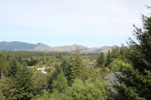 43 Alpine Ave - Accommodation New Zealand 1