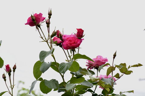 59 Chaucer Apartment - Accommodation New Zealand 3