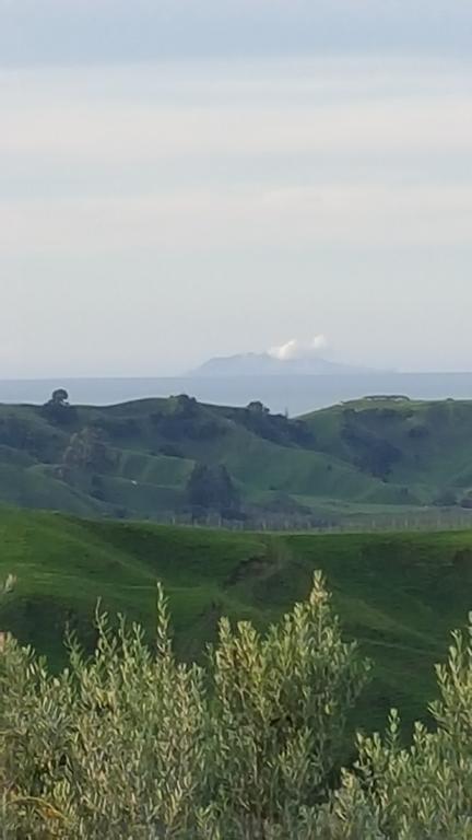 9 Senses Wellness Retreat - Accommodation New Zealand 3