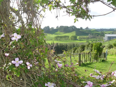 A Touch Of Tuscany At Hillsborough - Accommodation New Zealand 2