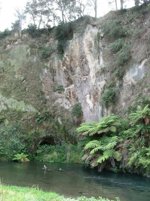 A1 Troutfishing At Tirau - Accommodation New Zealand 3