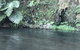 A1 Troutfishing At Tirau - thumb 2