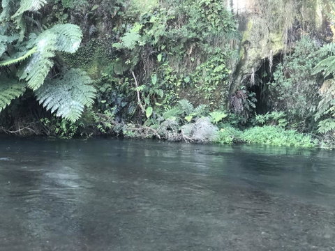A1 Troutfishing At Tirau - Accommodation New Zealand 2