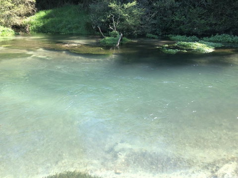 A1 Troutfishing At Tirau - Accommodation New Zealand 1