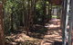 Abel Tasman Marahau - thumb 3