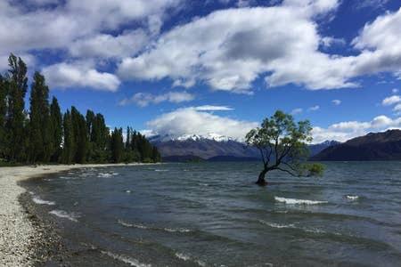 Absolutely Central Wanaka - Accommodation New Zealand 2