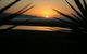 Ahipara Surf Lodge - thumb 0