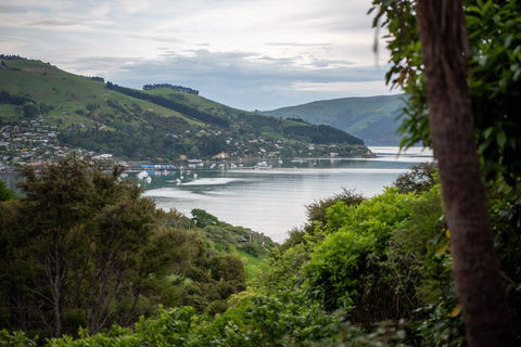 Akaroa Cottages Overton - Akaroa Holiday Cottage - Accommodation New Zealand 0