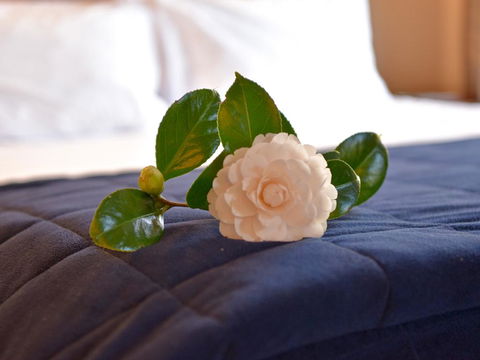 Akaroa Cottages Woodside - Akaroa Holiday Cottage - Accommodation New Zealand 1