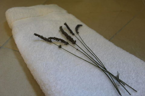 Akaroa FyrneBrooke House - Accommodation New Zealand 1