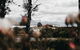 Aldourie Lodge - thumb 2