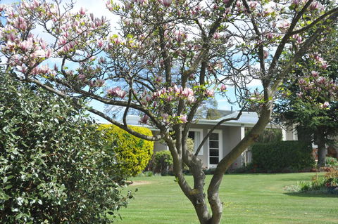 Alexandra Garden Court Motel - Accommodation New Zealand 2