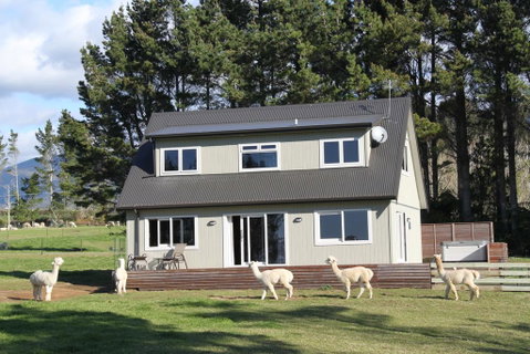 Alpaca Farm Retreat - Accommodation New Zealand 1