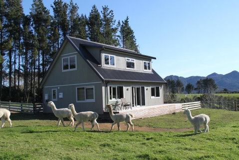 Alpaca Farm Retreat - Accommodation New Zealand 0