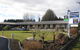 Anchorage Motel Apartments - thumb 1
