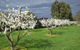 Antria Boutique Lodge - thumb 1