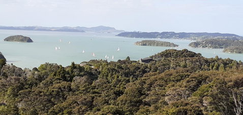 Arabella Heights. - Accommodation New Zealand 2