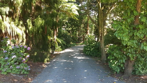 Arles Historical Homestead - Accommodation New Zealand 1