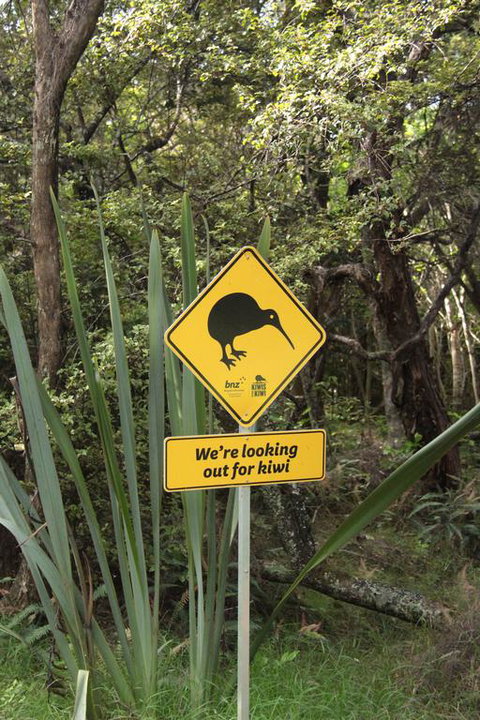 Aroha Island - Accommodation New Zealand 1