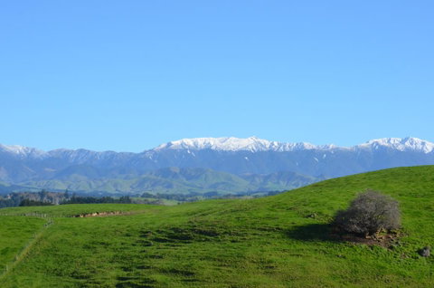 Ashcott Homestead - Accommodation New Zealand 3