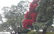 Athenree Hot Springs & Holiday Park - thumb 2