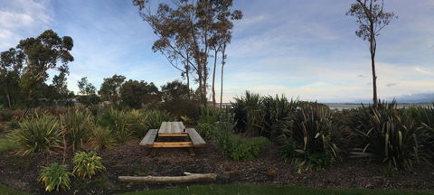 Athenree Hot Springs & Holiday Park - Accommodation New Zealand 1