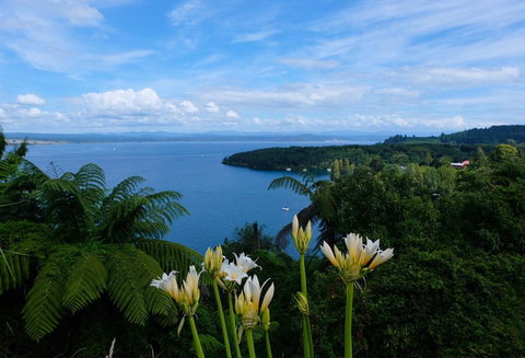 Bay Views - Acacia Bay - Accommodation New Zealand 2