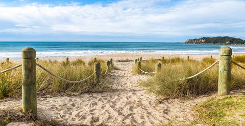 Beach Apartment - Accommodation New Zealand 1