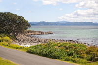 Beach Bliss - Kuaotunu Holiday Unit