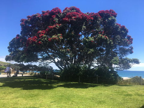 Beach Break Escape - Accommodation New Zealand 3