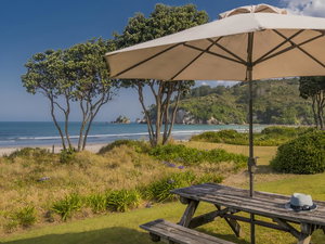 Beachfront Beauty - Whangamata