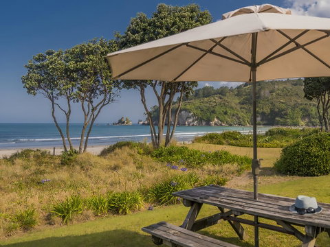 Beachfront Beauty - Whangamata - Accommodation New Zealand 0
