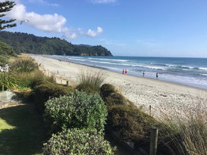 Beachfront Bed and Breakfast