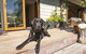 Bearsden Bed & Breakfast Queenstown - thumb 2