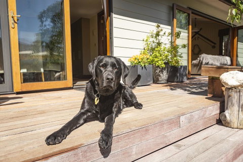 Bearsden Bed & Breakfast Queenstown - Accommodation New Zealand 2