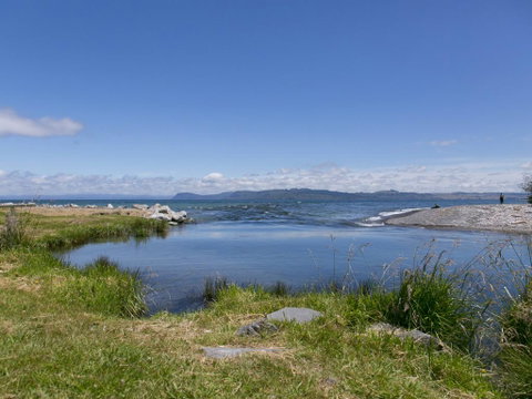 Bellbird Cottage - Lake Taupo Bach - Accommodation New Zealand 3