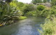 Bellbird Cottage - Lake Taupo Bach - thumb 2