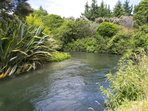 Bellbird Cottage - Lake Taupo Bach - Accommodation New Zealand 2