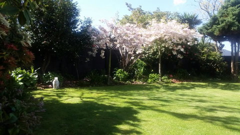 Berni's Boutique BnB (Airport) - Accommodation New Zealand 1