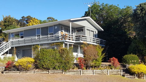 Bird Haven - Accommodation New Zealand 1