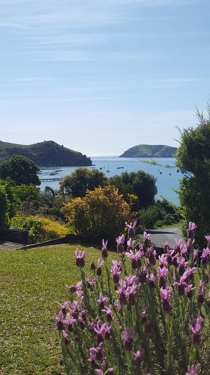 Bird Haven - Accommodation New Zealand 3