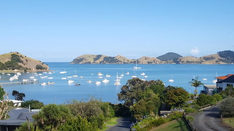 Bird Haven - Accommodation New Zealand 0