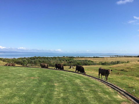 Black Swan Retreat - Accommodation New Zealand 2