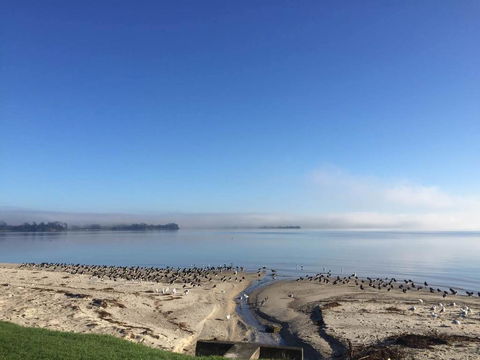 Black Swan Retreat - Accommodation New Zealand 0