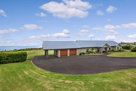 Black Swan Retreat - Accommodation New Zealand 1